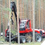 Scots Pine Supports European Electricity Grids