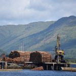 UK Timber Imports Remain Subdued