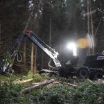 Ireland’s Wood and Paper Exports Top €1 Billion