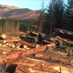 Fuel Price Crisis And What Does It Mean For Forestry