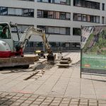 STIHL Tiny Forest in Stuttgart-Nord