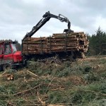 Forwarder and Harvester Operator Wanted