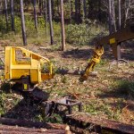 Tigercat Industries New Pull-Through Delimber