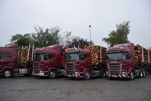 Kieron Owens's timber lorries allined up in a row in his yard
